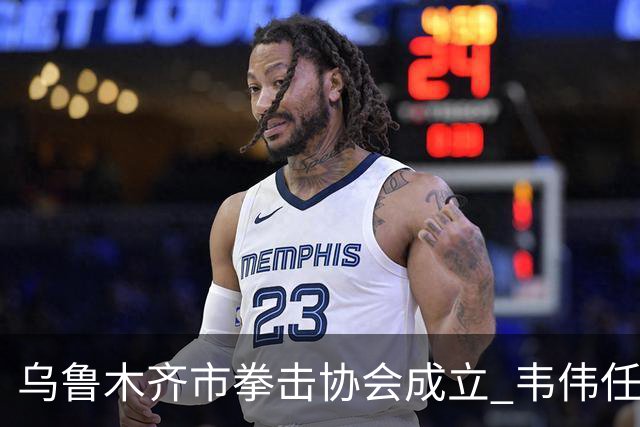 乌鲁木齐市拳击协会成立 韦伟任会长